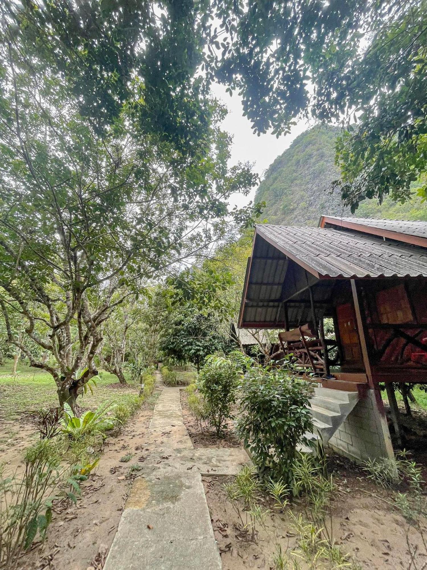 Khao Sok Green Mountain View Khao Sok National Park Экстерьер фото