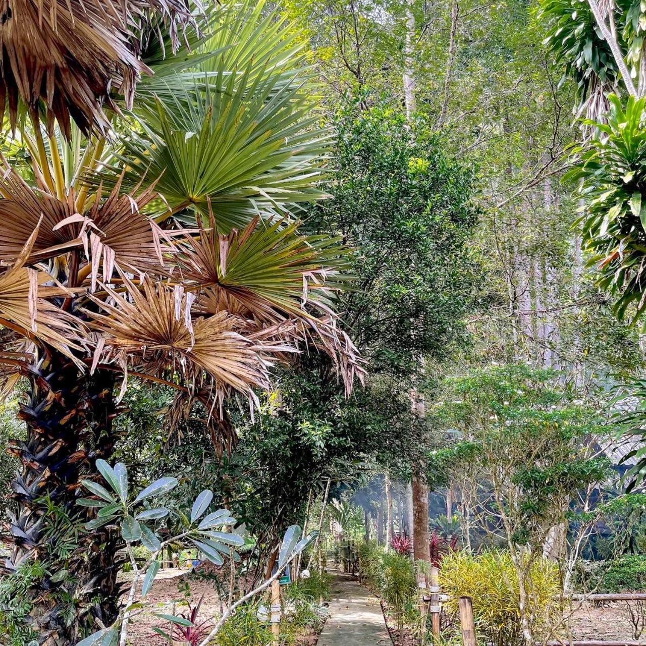 Khao Sok Green Mountain View Khao Sok National Park Экстерьер фото