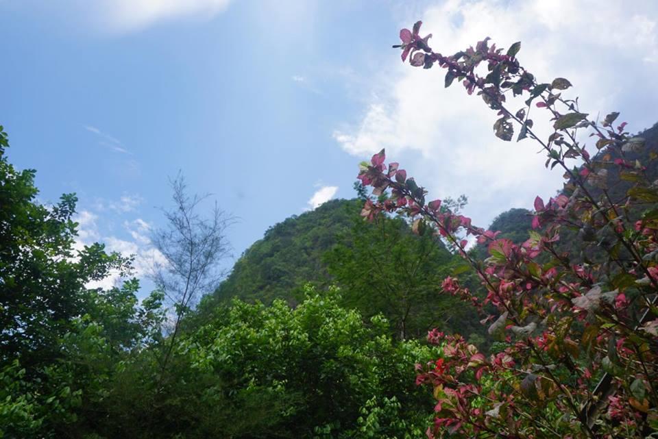 Khao Sok Green Mountain View Khao Sok National Park Экстерьер фото